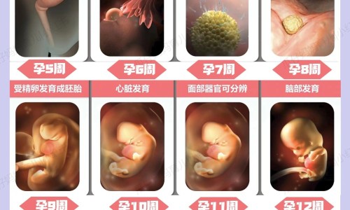 浑身没劲头出汗网 | 浑身没劲出汗是怎么回事,浑身没劲头昏昏沉沉的怎么回事